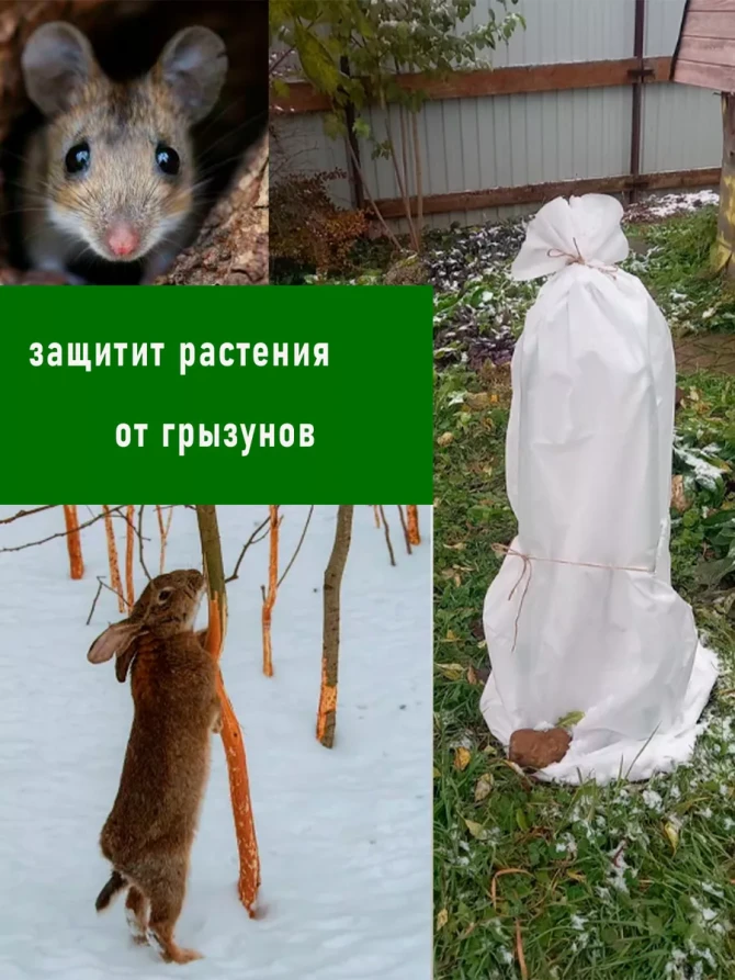 Укрывной материал спанбонд 120х150 см, 3 штуки