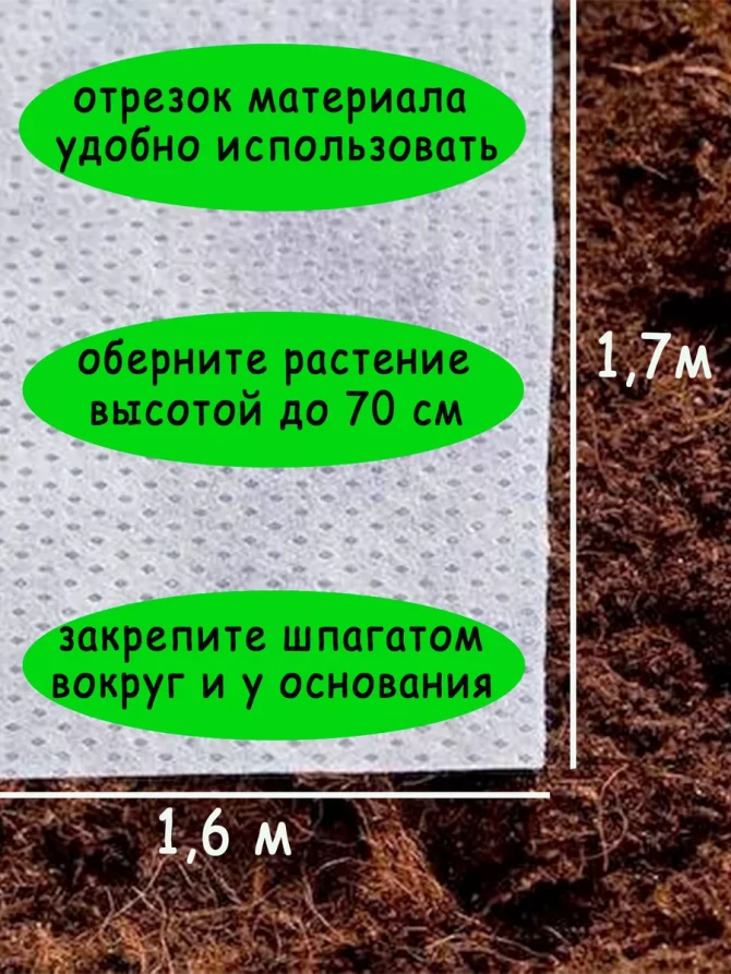 Укрывной материал спанбонд 160х170 см, 3 штуки