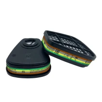 Carbon filter RUSOKO 759, 2 pcs