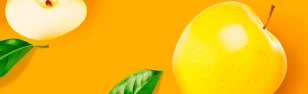 FRUCTIS LLC