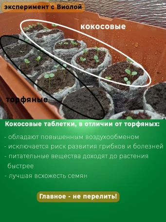 Coconut Seedling Tablets 100% Geoplastboard 50 pieces
