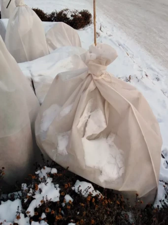 Укрывной материал спанбонд 160х170 см, 3 штуки