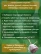 Coconut Seedling Tablets 100% Geoplastboard 50 pieces