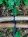 Peg for fastening agricultural fabrics, spunbond, geotextile, covering material and garter Geoplastboard, 18cm. 10 pcs.