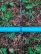 Peg for fastening agricultural fabrics, spunbond, geotextile, covering material and garter Geoplastboard, 18cm. 10 pcs.