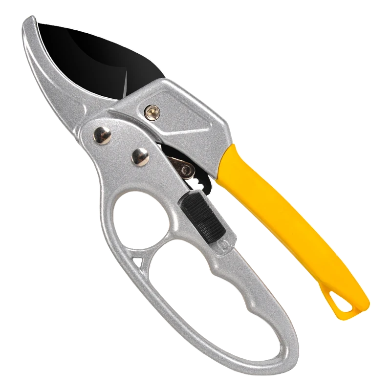 kont812S.png