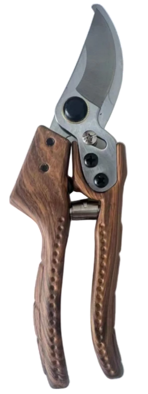 pl186A.png