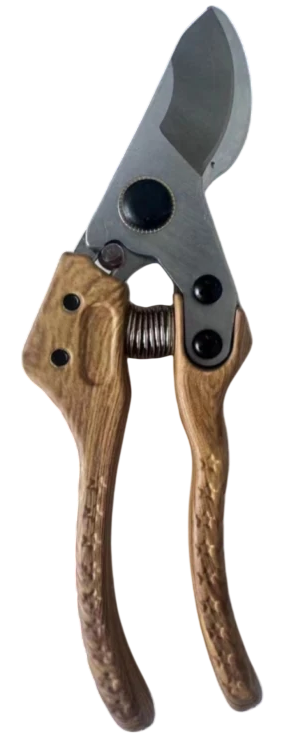 pl187A.png